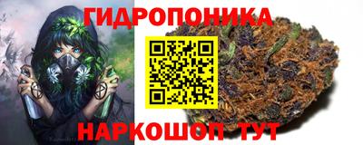 jwh Краснознаменск