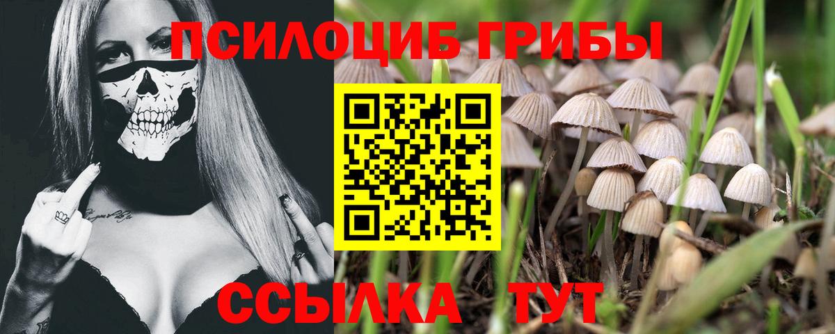Псилоцибиновые грибы MAGIC MUSHROOMS  Вход с VPN  Галлюциногенные грибы Psilocybine cubensis  Кандалакша 